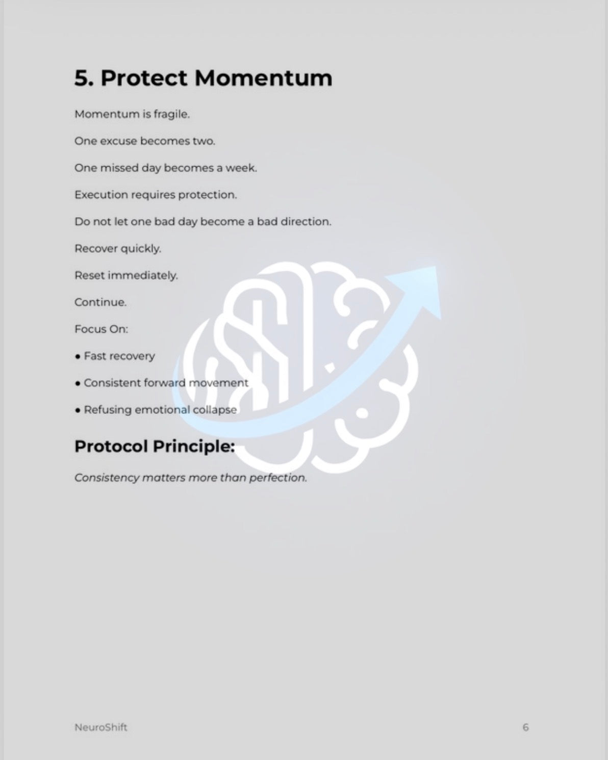 NeuroShift Execution Protocol™