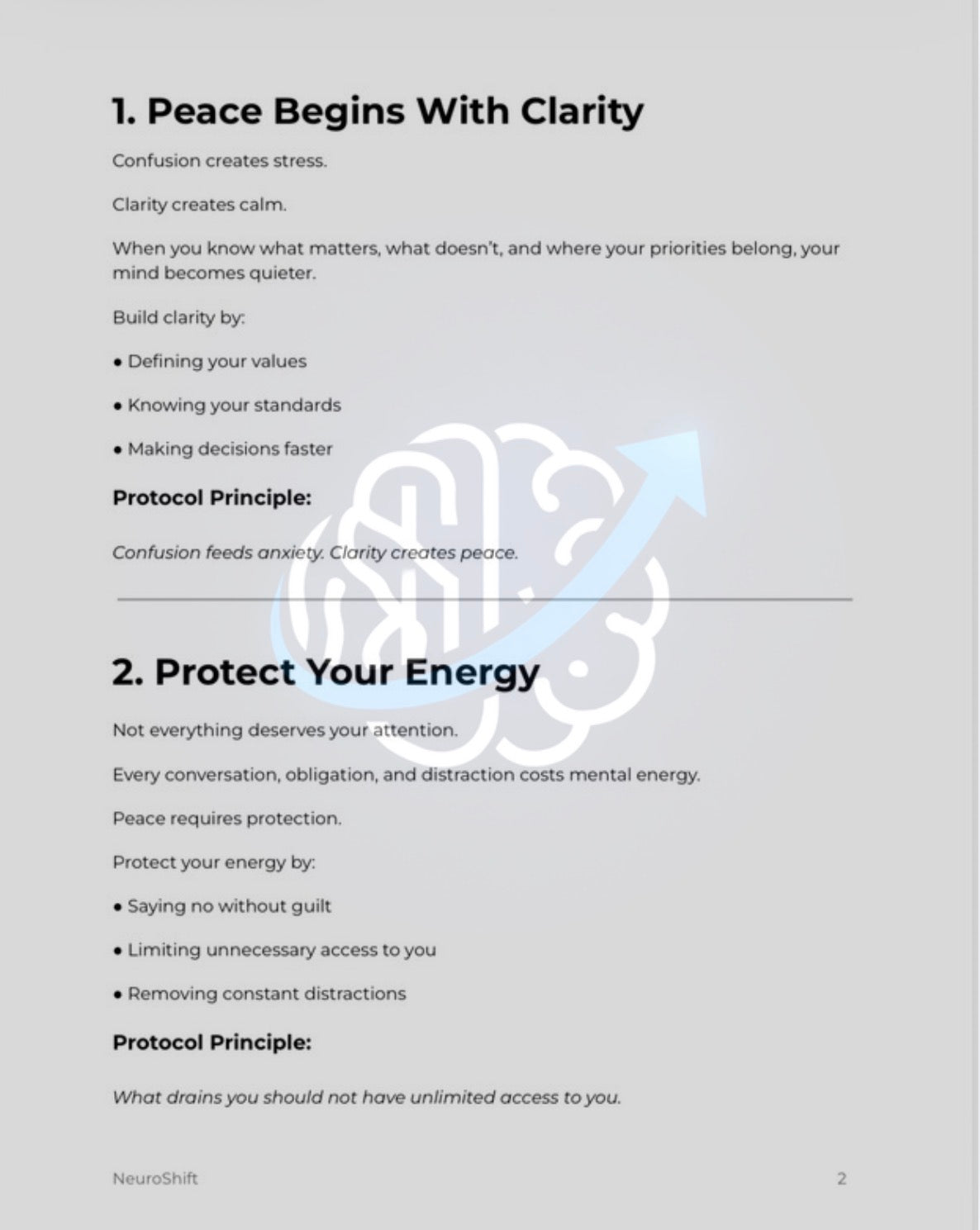 NeuroShift Peace Protocol™